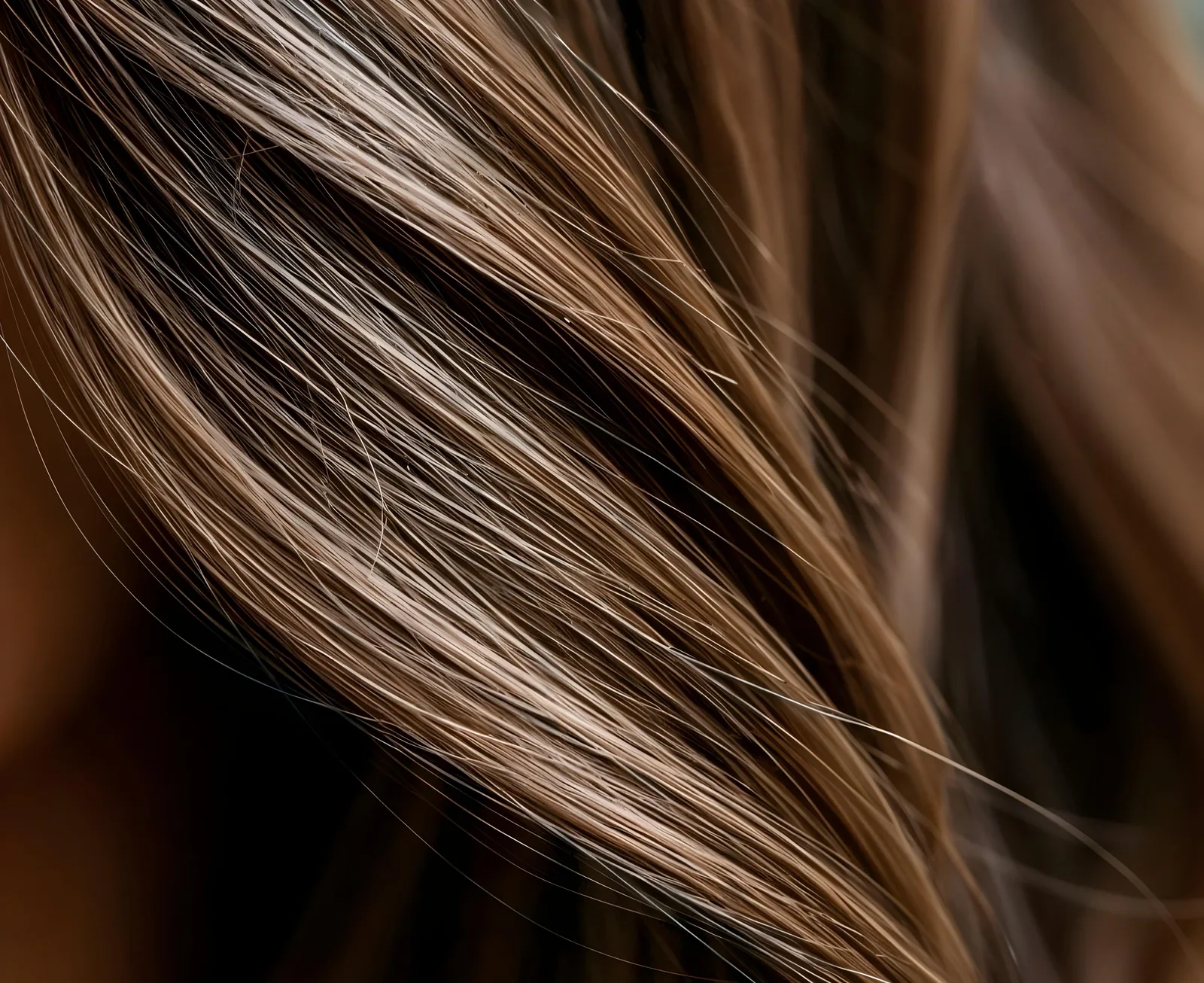 The Hair at The Beauty Script
